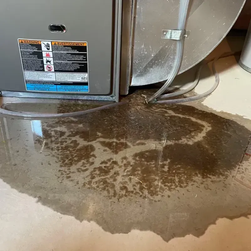 Appliance Leak Cleanup in Parkwood, WA